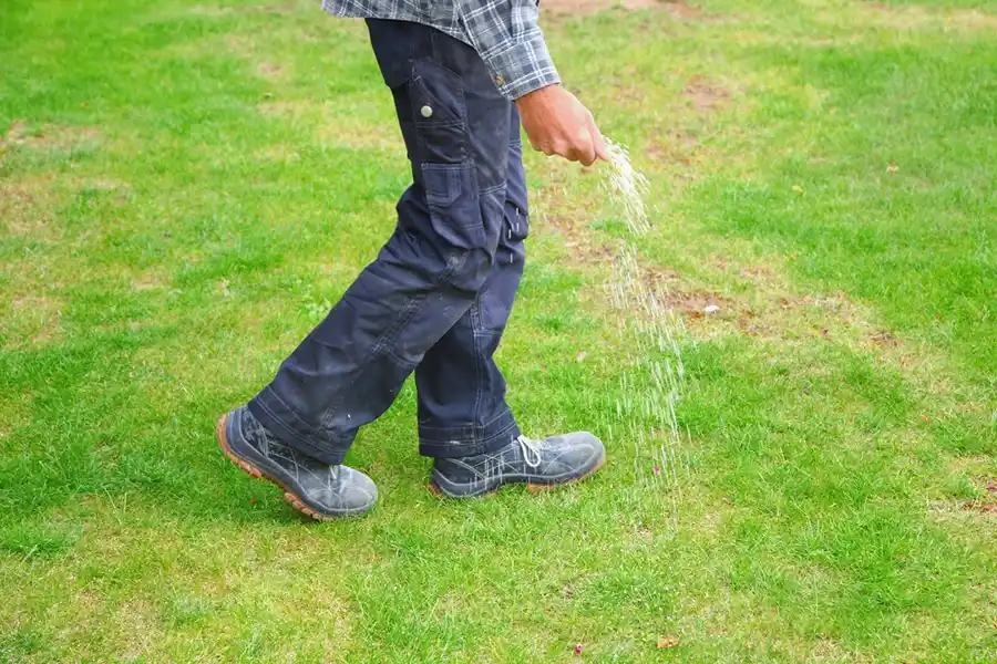 Efficient Lawn Fertilization in Edison, NJ