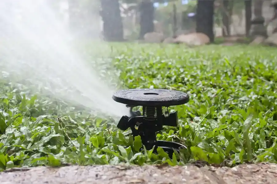 Lawn Fertilization and Irrigation Installation