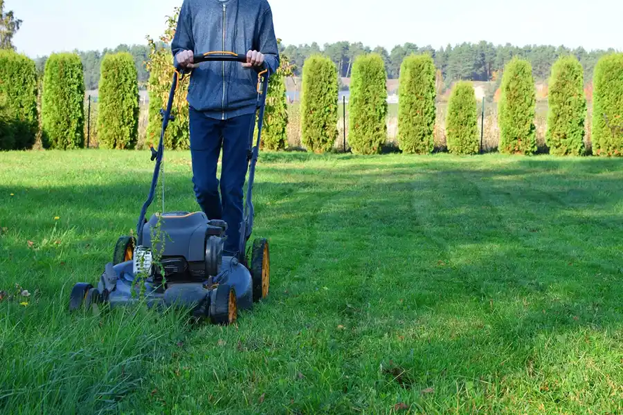 Efficient Lawn Mowing in Edison, NJ