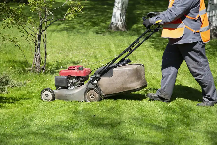 Reliable Lawn Mowing in Edison, NJ