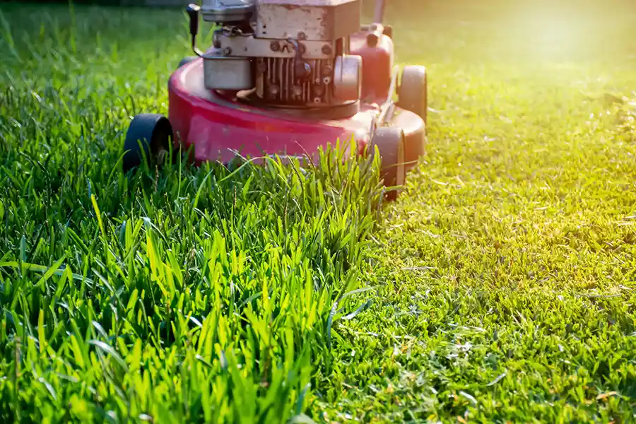 Lawn Mowing and Edging