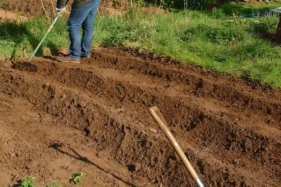 Efficient Mulching in Edison, NJ