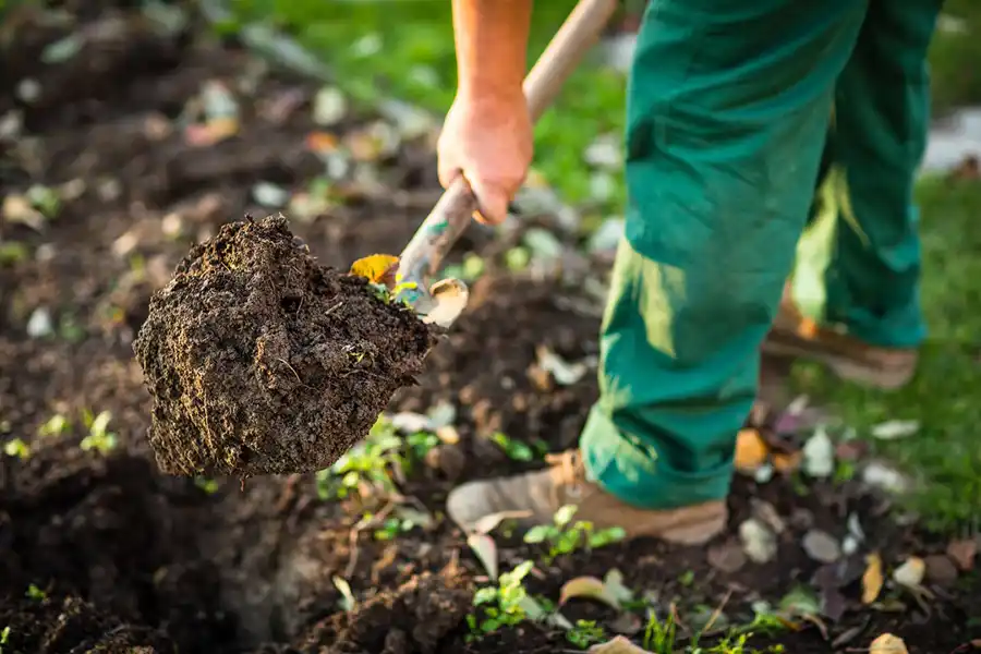 Reliable Mulching in Edison, NJ