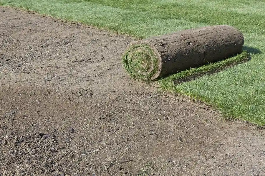 Efficient Sod Installation in Edison, NJ