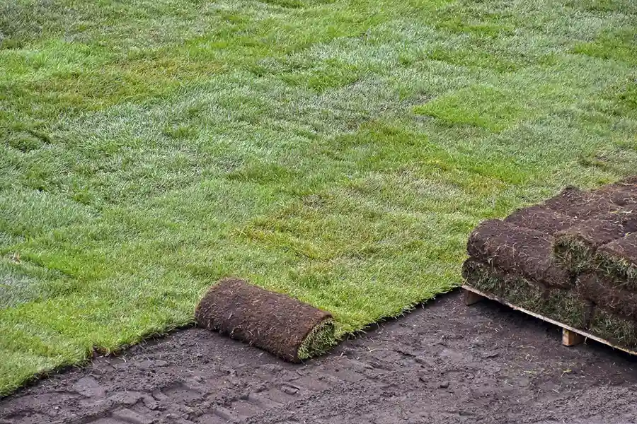 Best Sod Installation in Edison, NJ