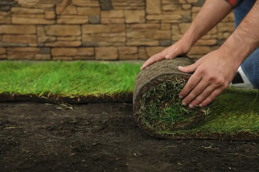 Reliable Sod Installation in Edison, NJ