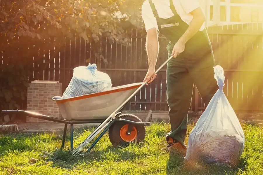 Best Yard cleanup in Edison, NJ